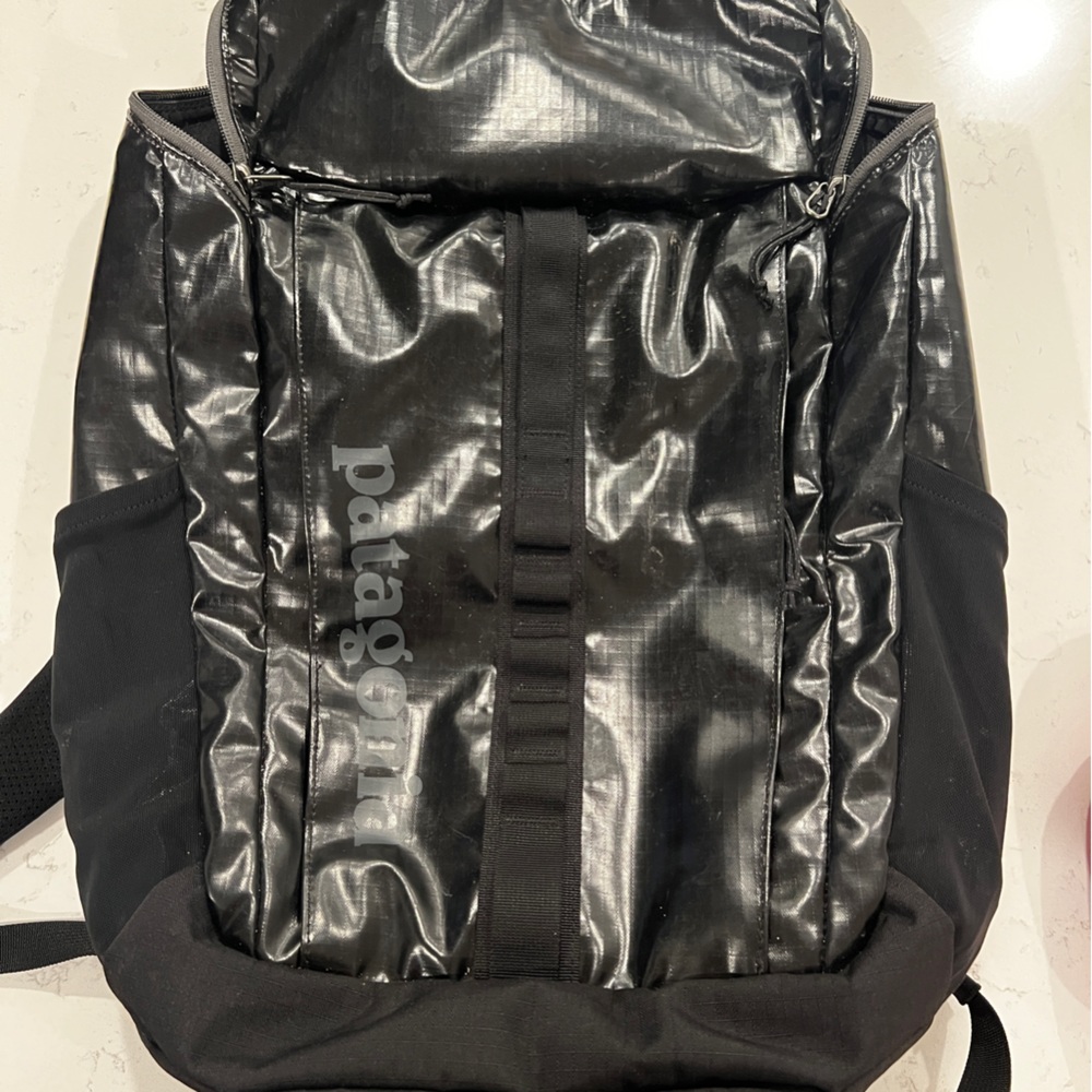 Patagonia Black Men's Backpack Black Hole 25L